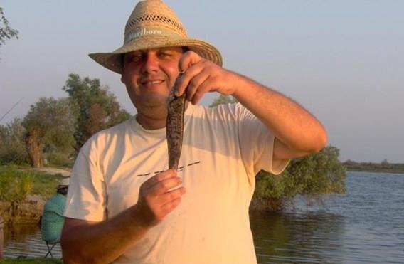 fishes - im000400.jpg